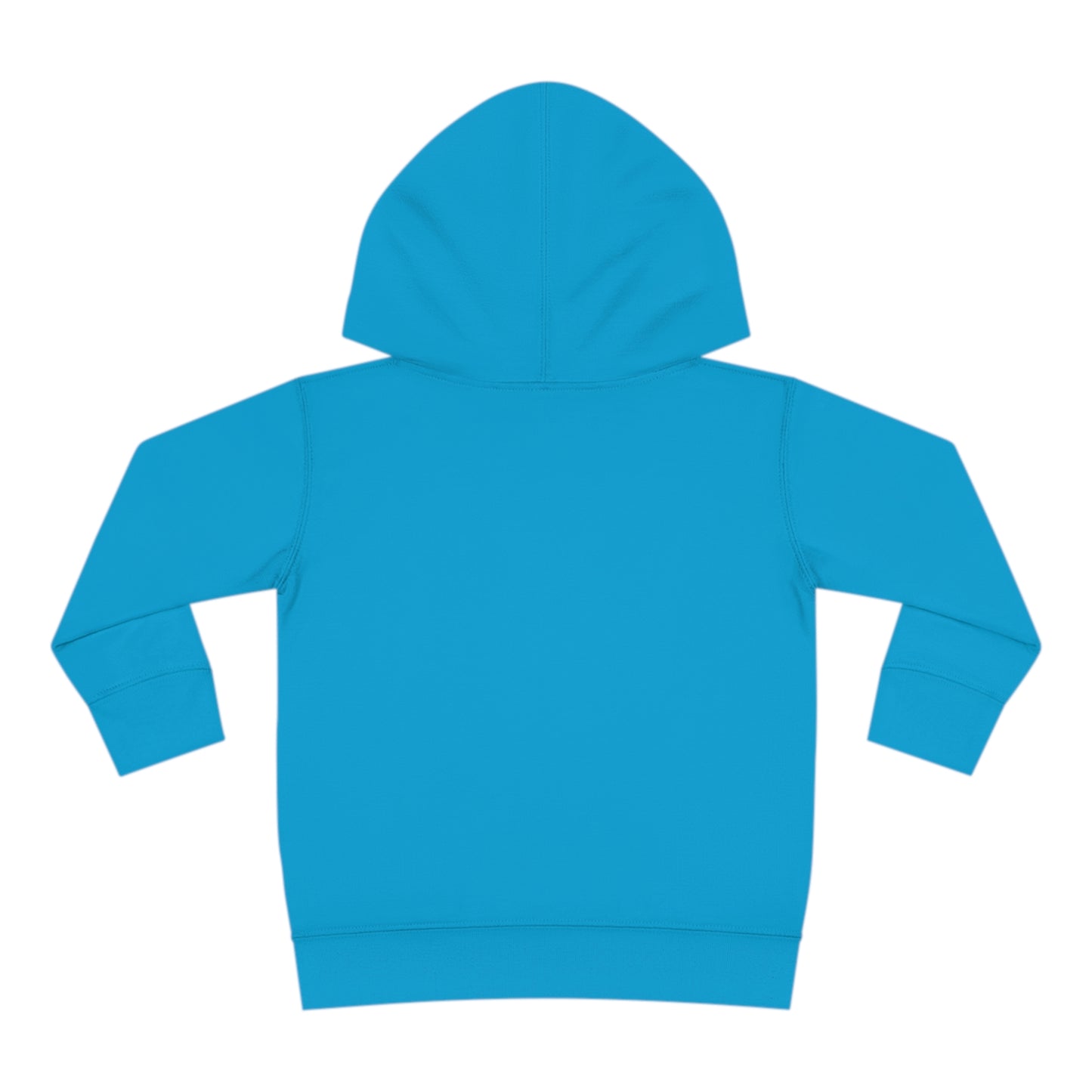 Generational Wealth - Toddler Hoodie