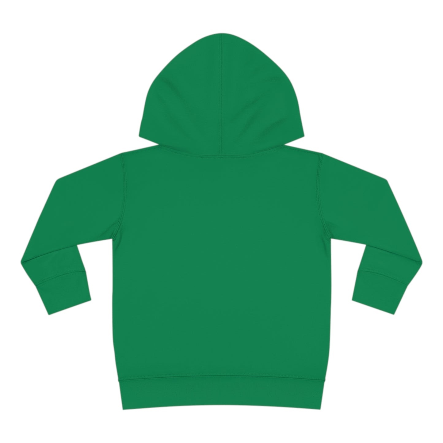 Generational Wealth - Toddler Hoodie