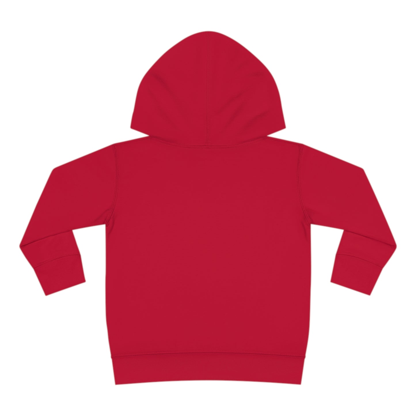 Generational Wealth - Toddler Hoodie
